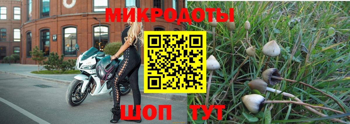 Галлюциногенные грибы мицелий Можайск