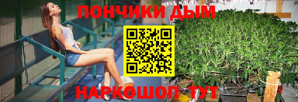 Бошки марихуана планчик  Вход с VPN  Бошки марихуана SATIVA & INDICA  Можайск 